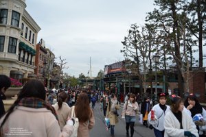 20180108100946_NIKON D7100.jpg